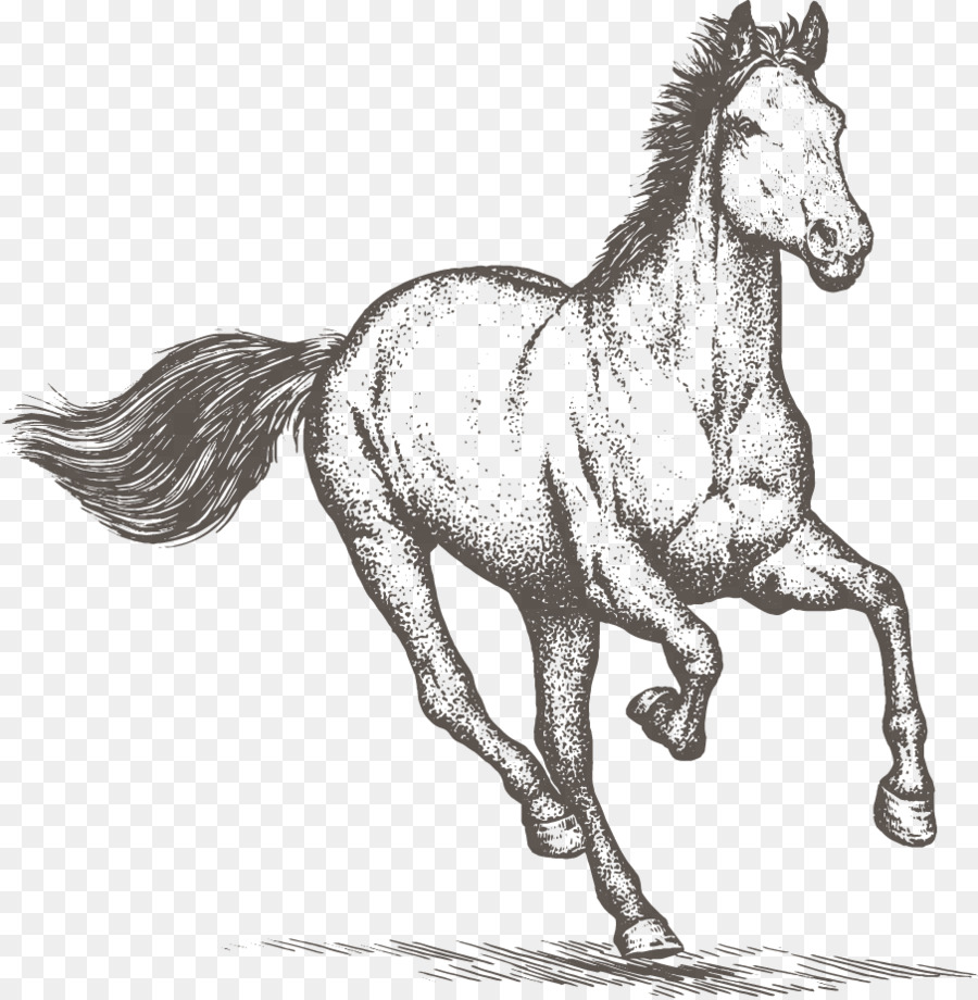 Con ngựa cưỡi Ngựa Vẽ Clip nghệ thuật - khai hoang đất