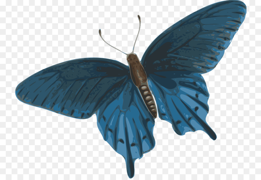 Schmetterling, Insekt clipart - Papier Schmetterling
