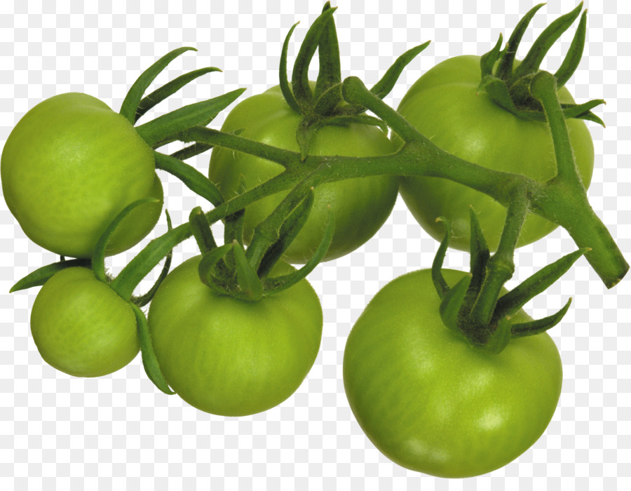 Pomodoro Tomatillo Cibo Vegetale Patate - Vuoto crema