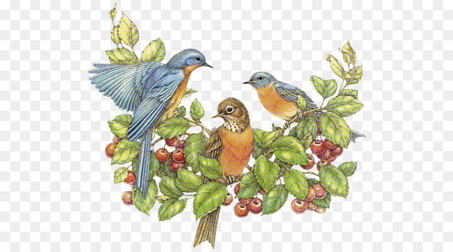 European robin Bird clipart - Blumen und Vogel