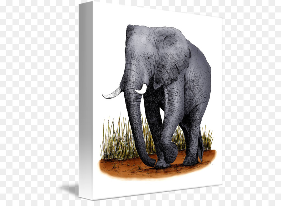 Elefante indiano elefante Africano Africano, elefante di foresta Fauna selvatica - creative elefante