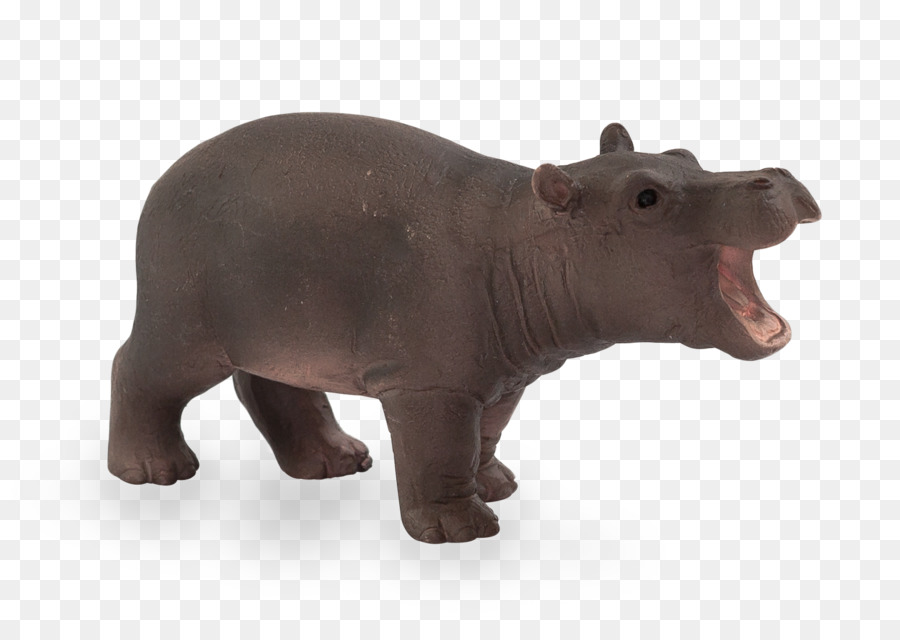 Das Nilpferd Nashorn Pferd Tierwelt - Hippo