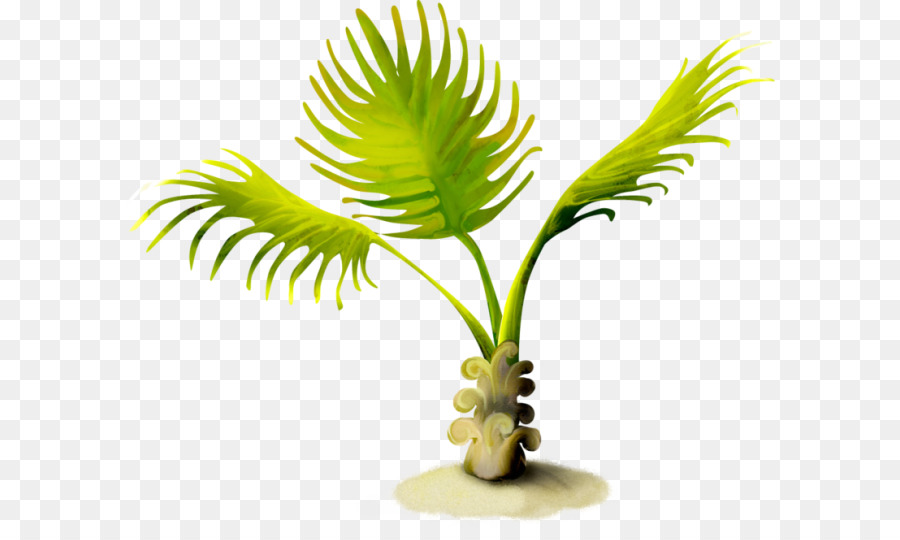 Arecaceae Sommer-clipart - andere
