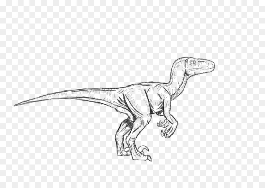 Velociraptor Troodon Tyrannosaurus Dinosaurier Dilophosaurus - Dinosaurier