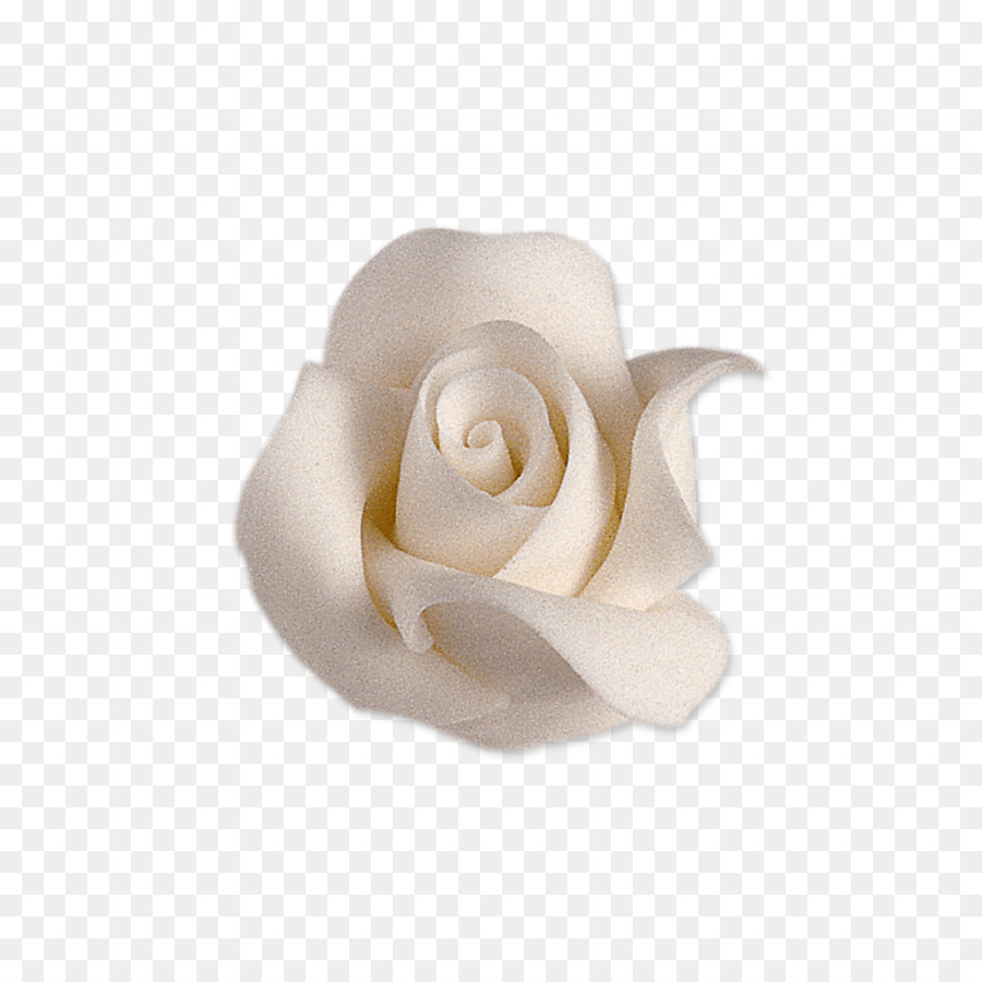 Hoa hồng trong vườn Cupcake bánh quy nhân - Hoa hồng