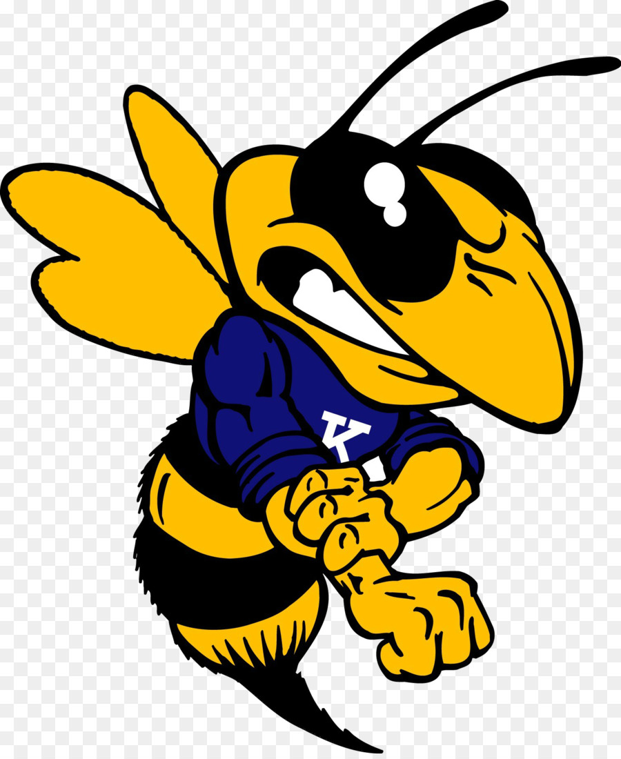 Kirtland Charlotte Hornets Sport Schule - Hornet