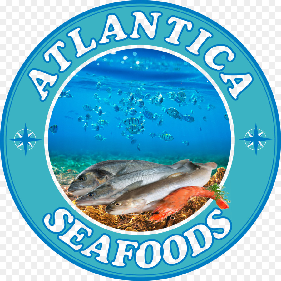 Kreuzfahrtschiff Wasser Tintenfische als Nahrung Ceviche - Meeresfrüchte fest