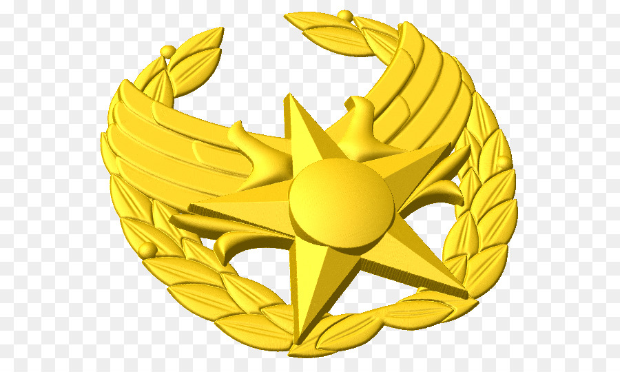 Huy Hiệu Không Khí Quản Lý Chiến Đấu Biểu Tượng Hoa Kỳ Học Viện Không Quân - những người khác