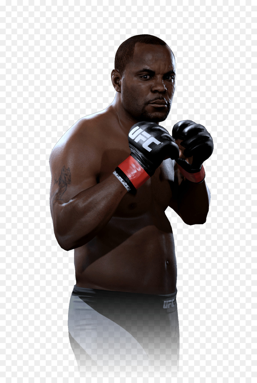 Royce Gracie EA Sports UFC 2 UFC 4: die Rache der Krieger UFC 10: Das Turnier Boxhandschuh - Ufc