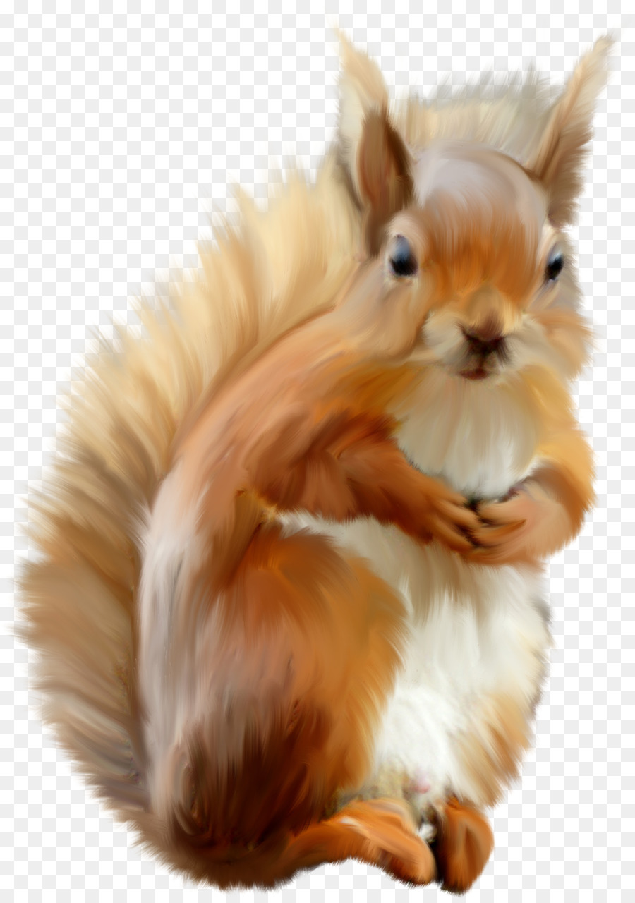 Heimische Kaninchen-Hund-Protein-Cat Baum Eichhörnchen - Hund