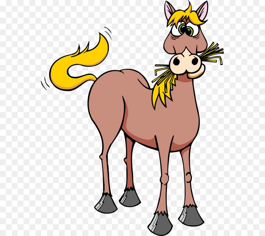 Donkey Cartoon png download - 800*800 - Free Transparent Horse png  Download. - CleanPNG / KissPNG