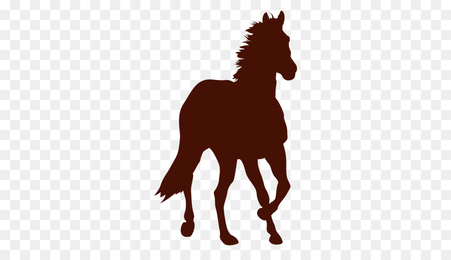 Mane Pony Stallone Mustang Puledro - mustang