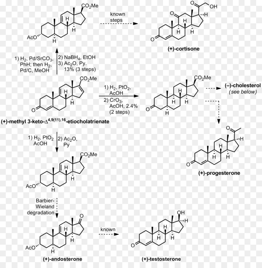 Cholesterin Gesamt-Synthese Organische Chemie Cortison - Cholesterin