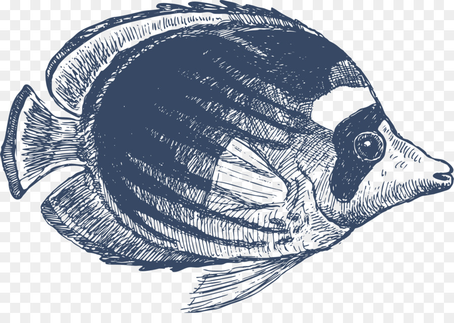 Zeichnung Fisch Clip art - Fisch