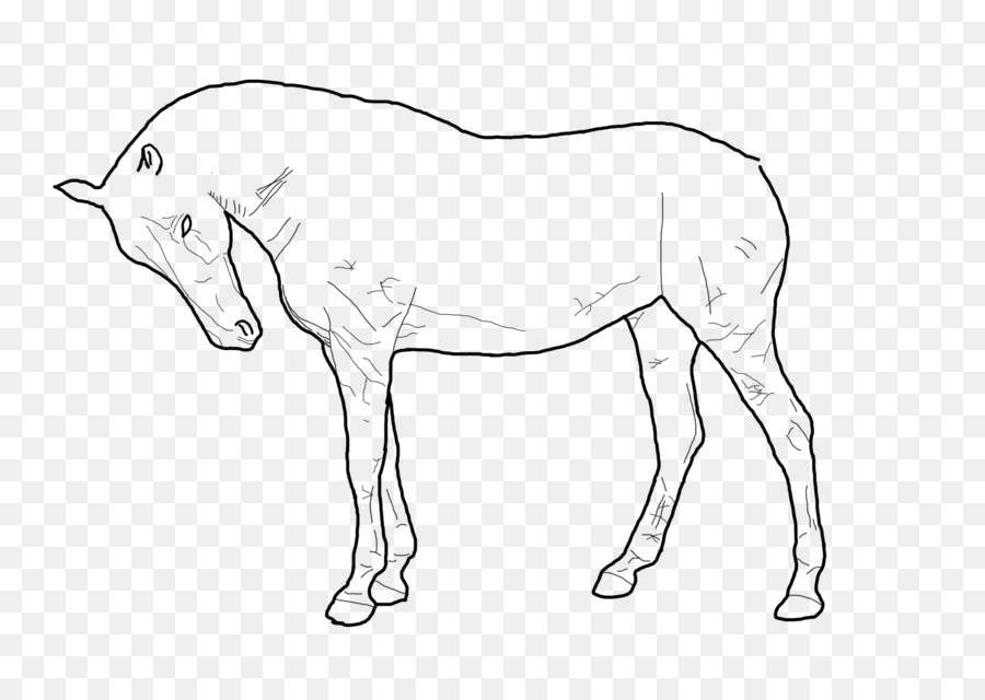 Mulo in Piedi a Cavallo della Linea art Pony - disegno di animali