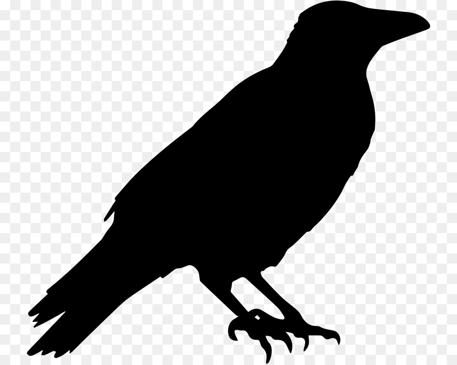 American crow Bird Common raven Clip-art - viele Stockwerke
