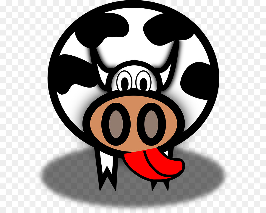 Holstein Friesian Cattle Smile