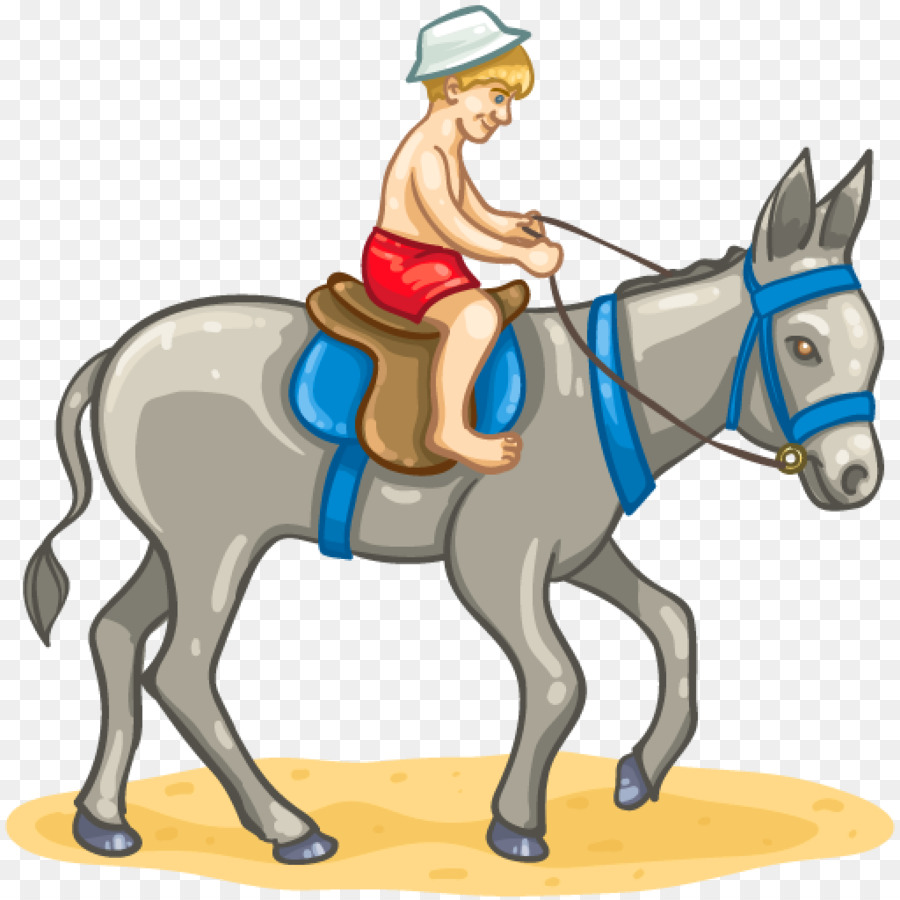 Maultier, Pferd, Esel reitet, Reitsport Clip-art - Pferd
