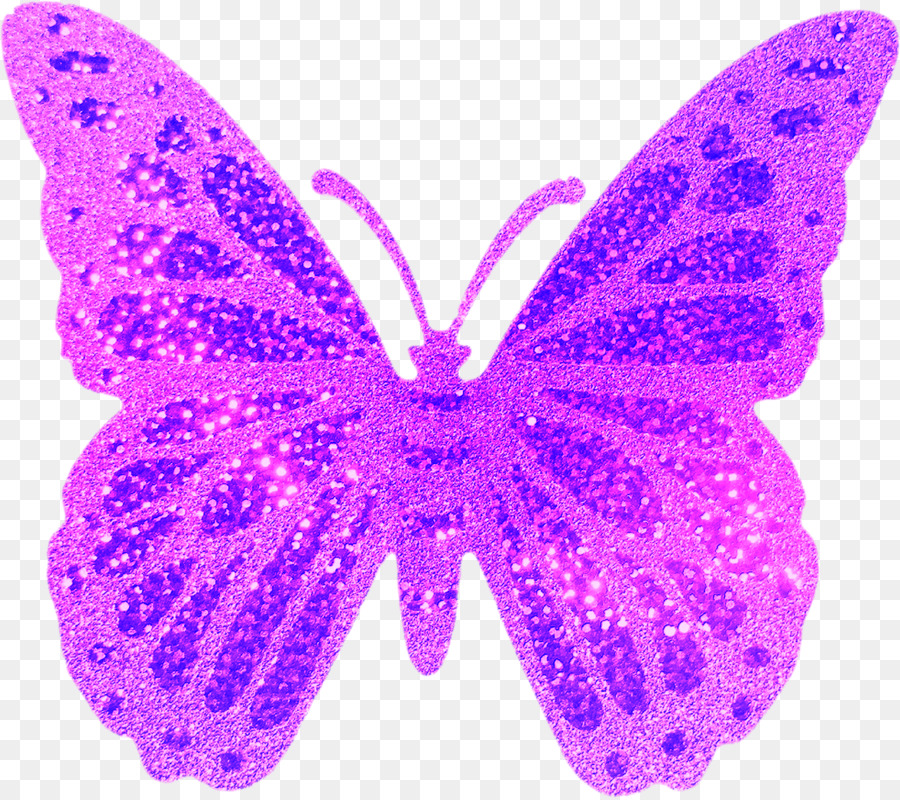 Schmetterlinge und Motten Briante Traum - Schmetterlinge