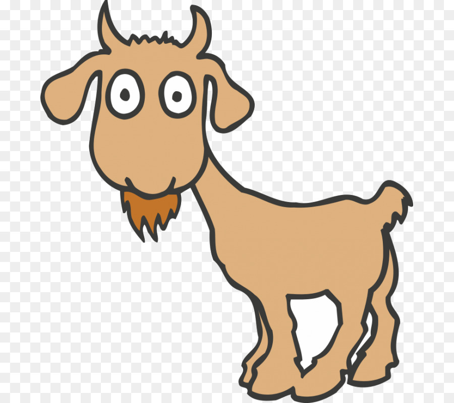 Boer capra Pigmeo capra Anglo capra Nubiana Clip art - pecore