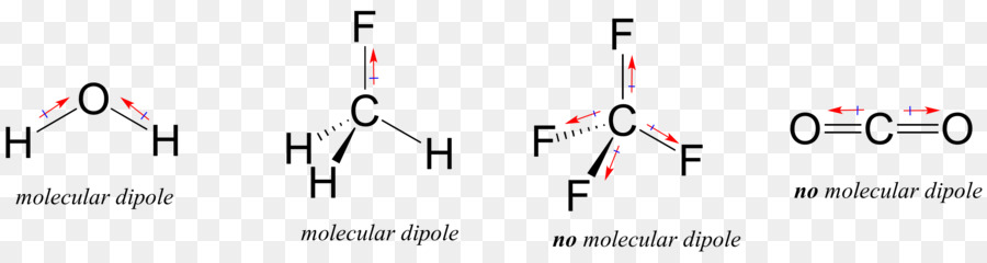 Bond momento di dipolo, legame Covalente, legame a Idrogeno, legame Chimico - biologia polare