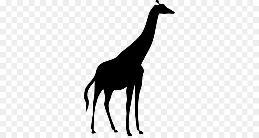 Nord giraffe Silhouette - Silhouette