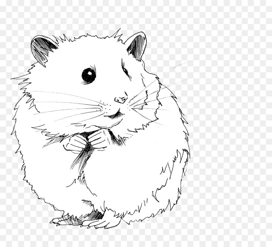 Chinchilla Hamster Vẽ Gerbil Rat  chinchilla bé png tải về  Miễn phí  trong suốt Con Chuột png Tải về