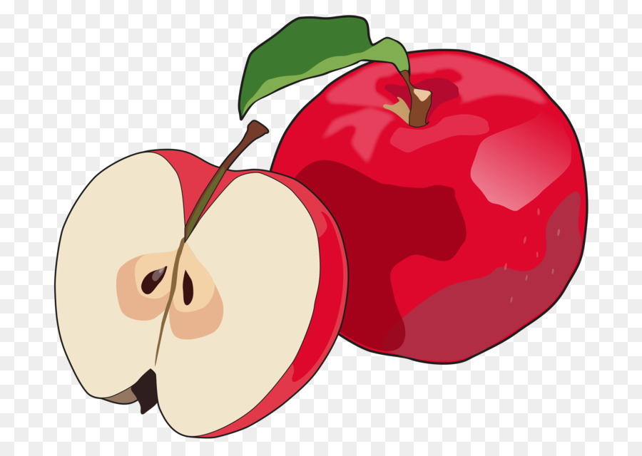 Apfel-Quitten-Käse-Lebensmittel-Obst-Zeichnung - Apple