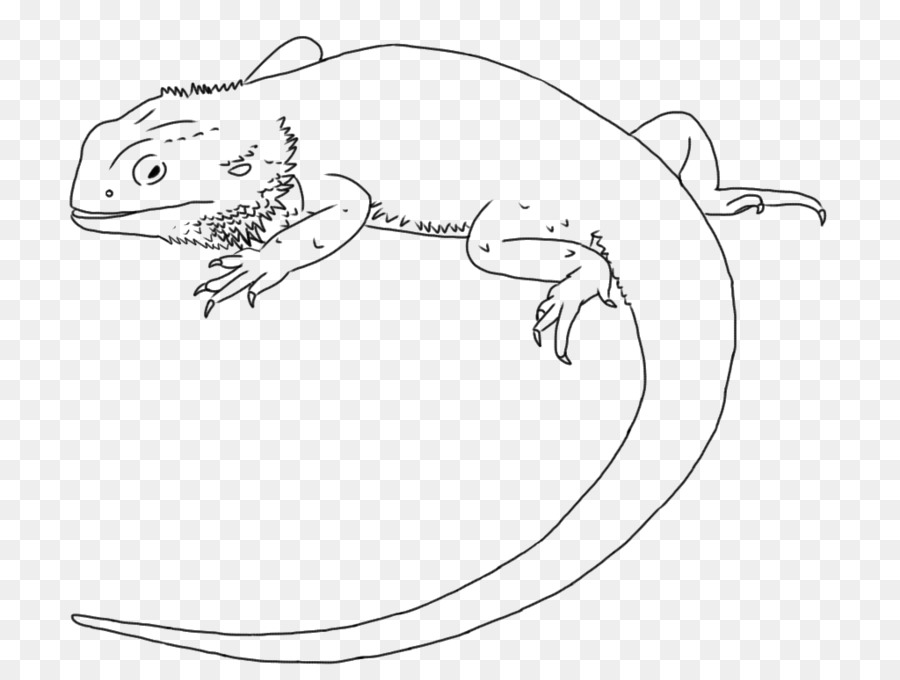 Lizard Zeichnung Central Bearded Dragon Line clipart - Eidechse