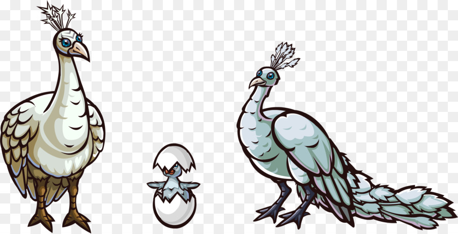 - Tại Rooster Động Vật Công Labrador - peacock trắng