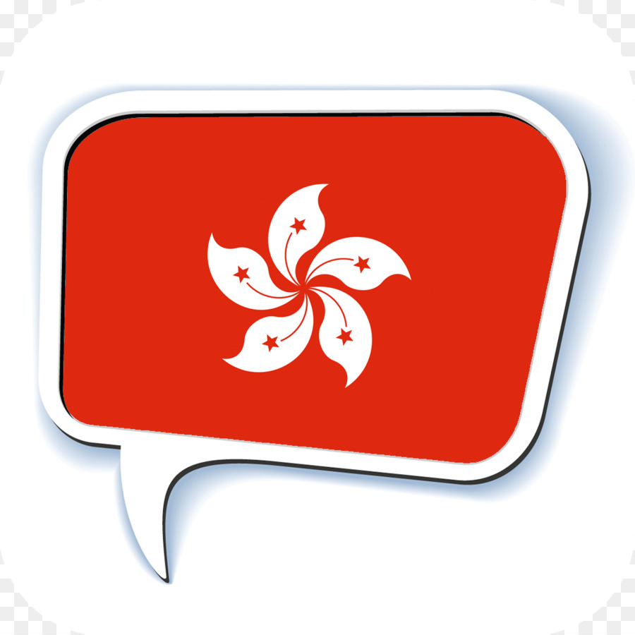 W. A. Somerville e Co Ltd Bandiera di Hong Kong Organizzazione per la Gestione delle Finanze - macao