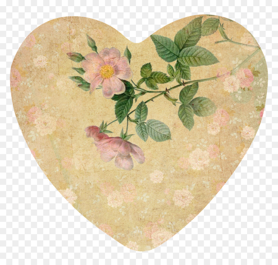 Nghệ thuật Ngày Valentine minh họa Thực vật Vẫn còn sống Giấy - thẻ valentine