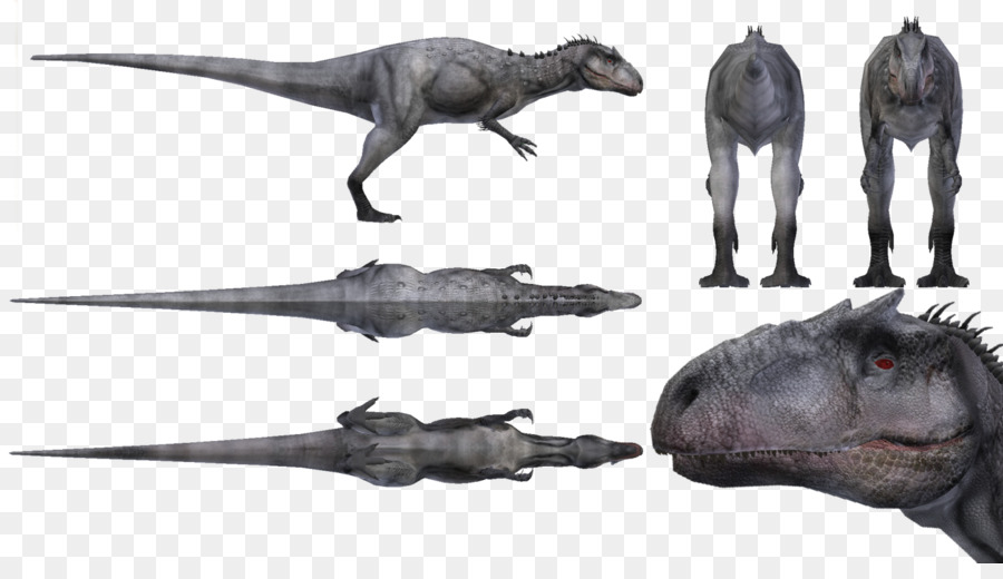 Tyrannosaurus Thú ông Trùm 2 tyrannosaurus Giganotosaurus Jura - Jura