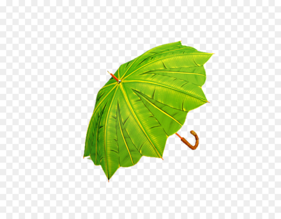 Regenschirm Banana leaf Regen Grün - Regenschirm
