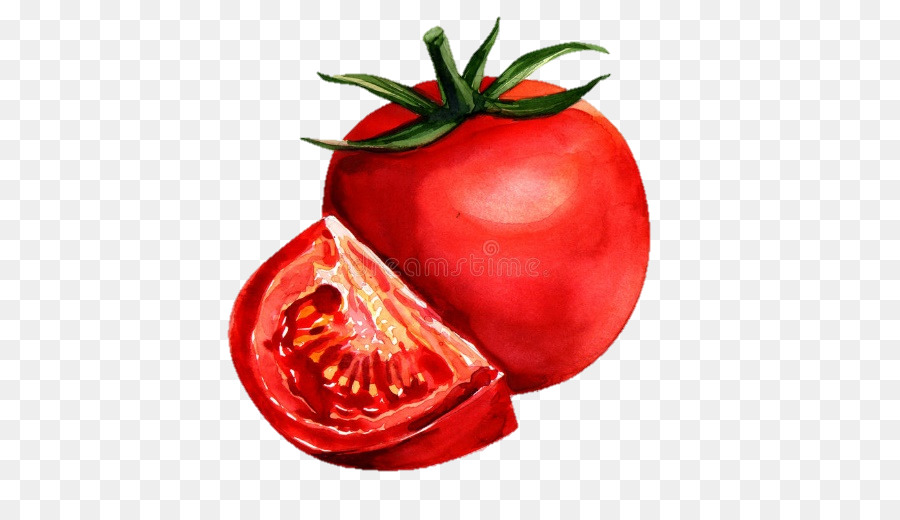 Aquarell Malerei Zeichnung Tomaten - Malerei