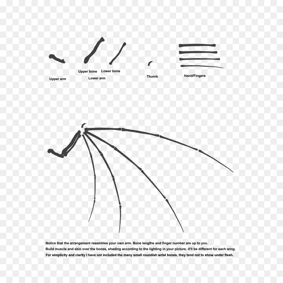 Flügel Konfigurations-Knochen-Architektur-engineering-Grafik-design - Gleit Flügel