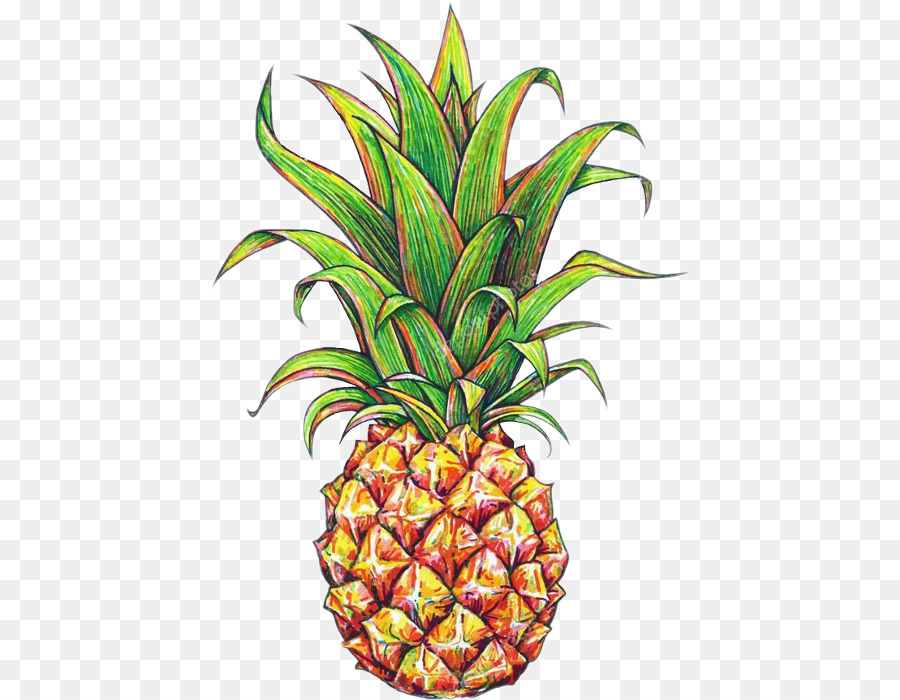 Fruit Cartoon png download - 480*700 - Free Transparent Pineapple png  Download. - CleanPNG / KissPNG