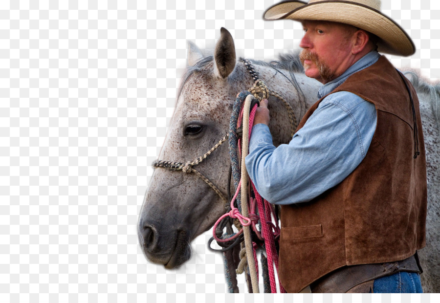 Halter Rinder Mustang American frontier Ranch - amerikanische cowboy Ausrüstung der Polizei