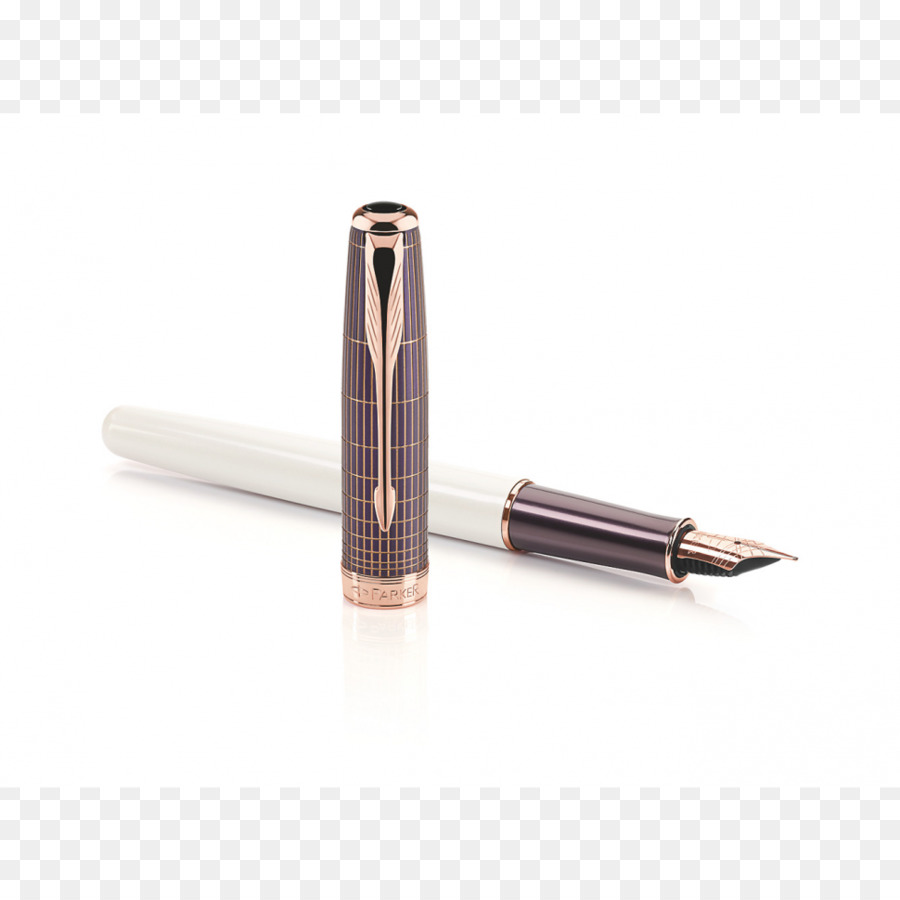 Parker Pen Company penna stilografica Waterman penne Parker Duofold - Viola penna