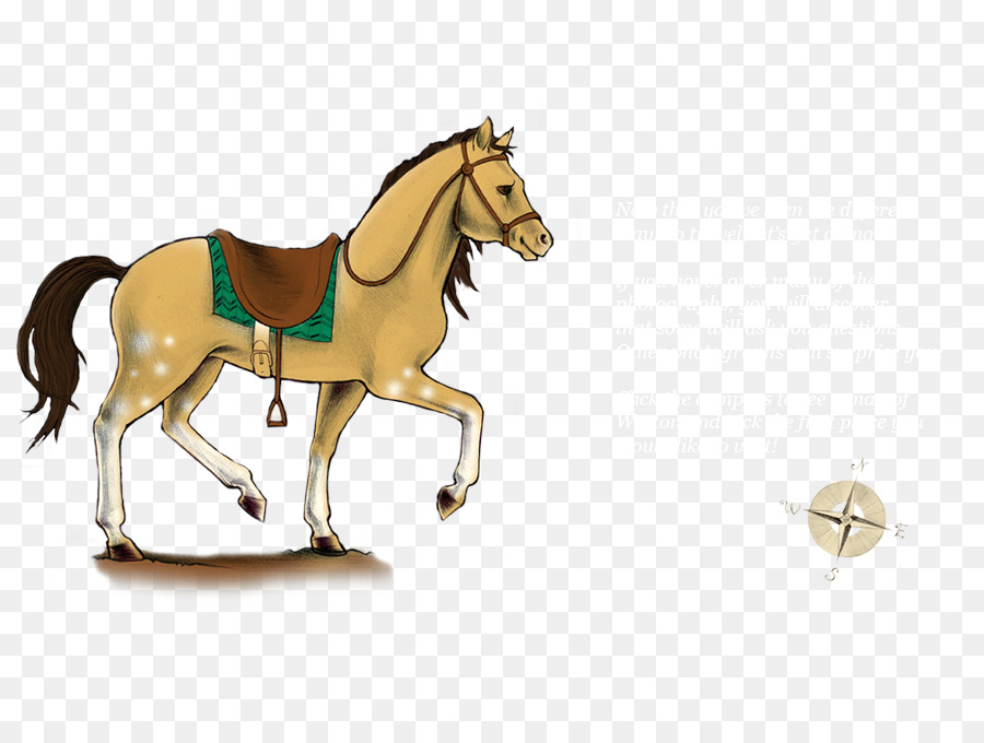 Bờm Ngựa Mustang Stallion Dây - mustang