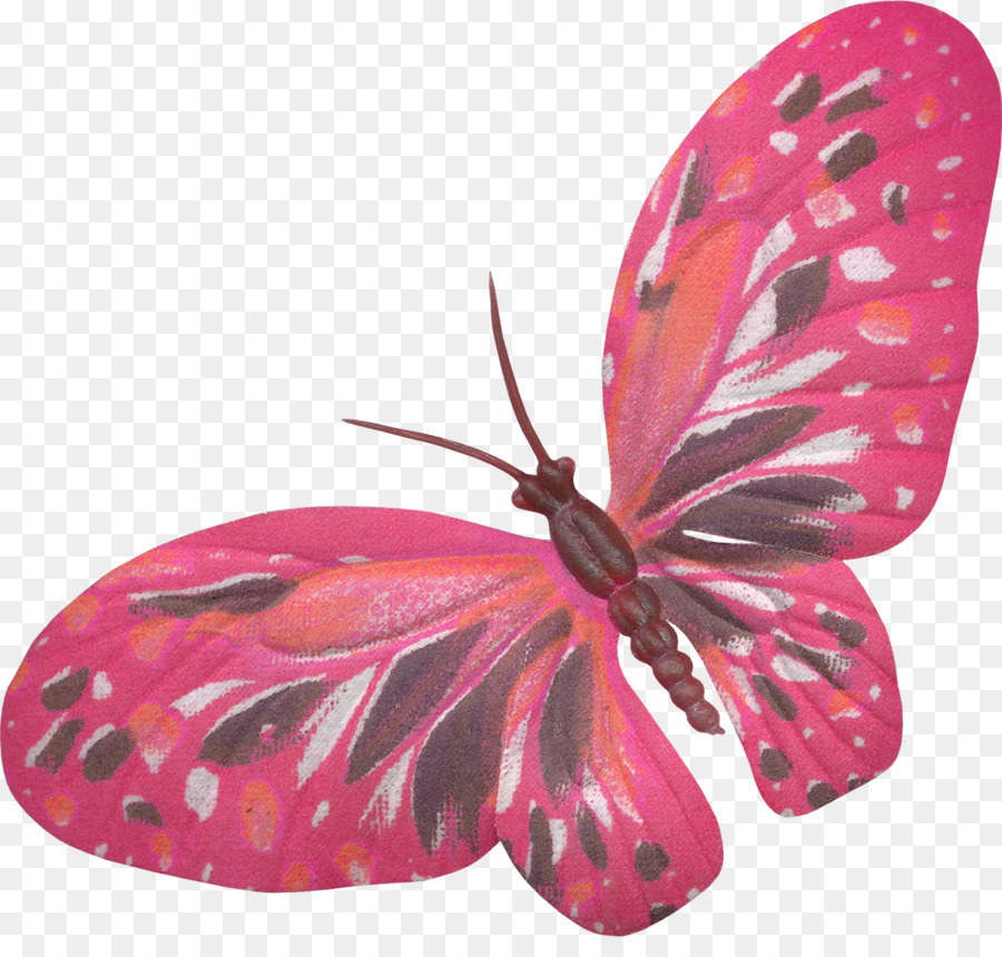 Bộ sưu tập clip nghệ thuật về ong bướm và bướm đêm côn trùng sẽ đưa bạn vào một thế giới đầy màu sắc và hoa mỹ. Với những bức tranh đẹp mắt, bạn sẽ có được trải nghiệm khó quên và khám phá ra sự đa dạng về các loại bướm trên thế giới.
