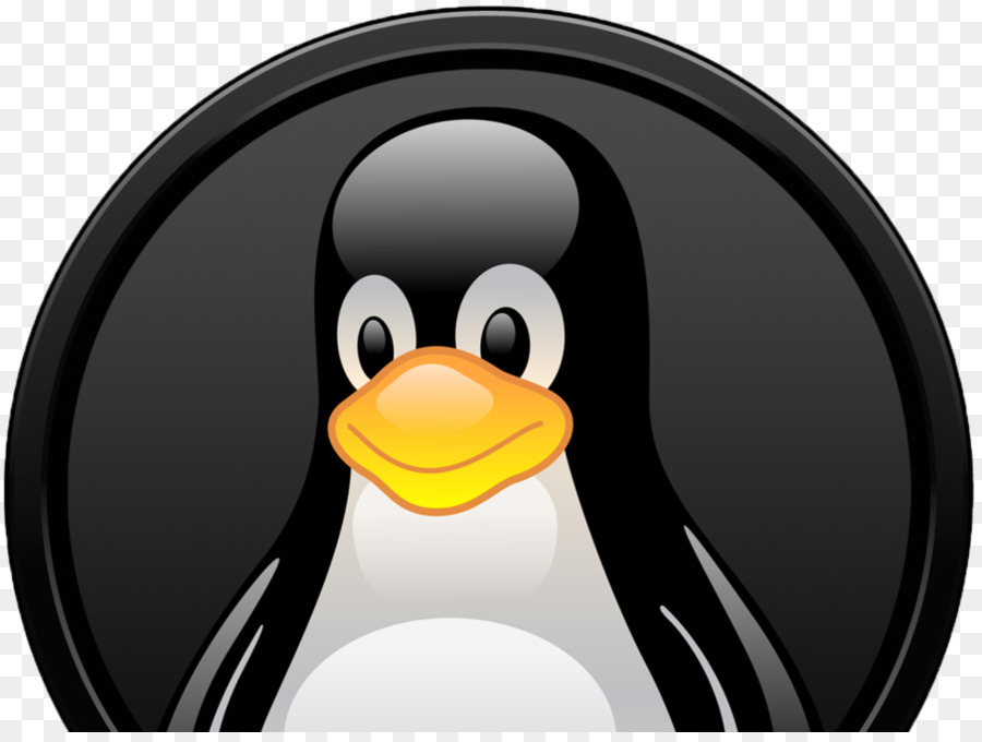 Bộ vest Linux phần Hệ điều Hành - Linux