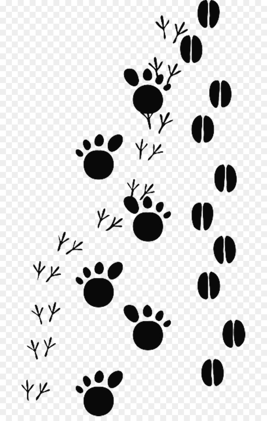 Animale traccia Impronta Clip art - impronte di gatto