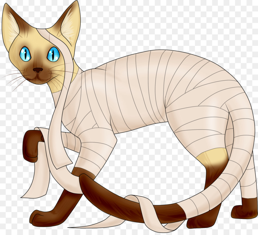 Cat Cartoon png download - 1194*1079 - Free Transparent Whiskers png  Download. - CleanPNG / KissPNG