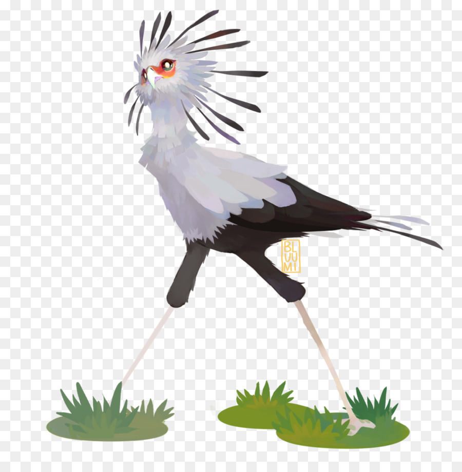 Secretarybird Vulture Gru - uccello