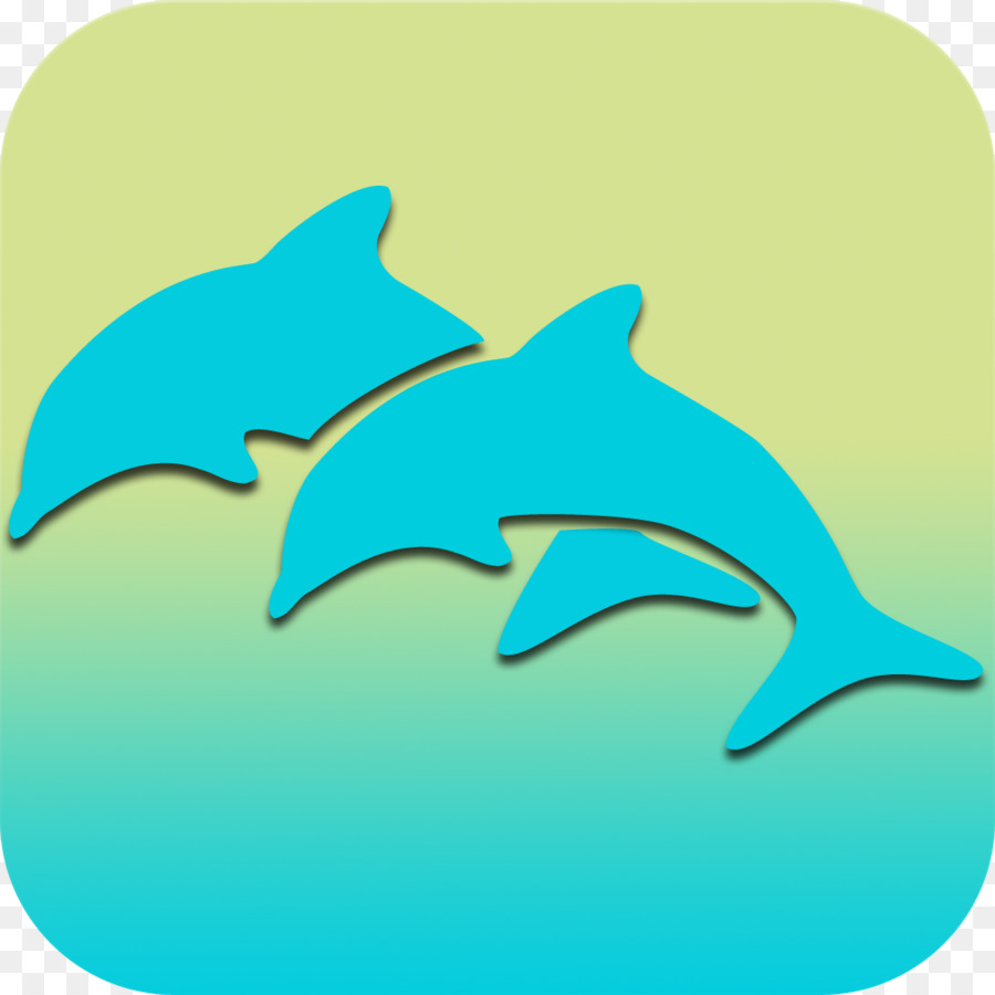 Common bottlenose dolphin Requiem shark Clip-art - Hai