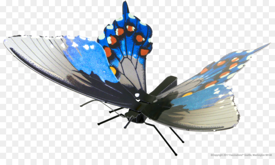 Butterfly, Lycaenidae Nymphalidae Battus philenor Polygonia comma - Schmetterling