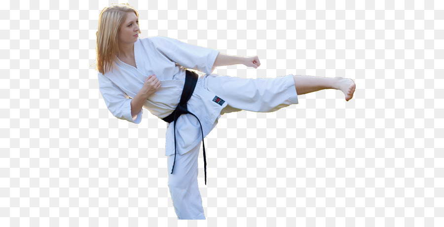 Karate dobok schwarzer Gürtel Sensei Shodan - Karate