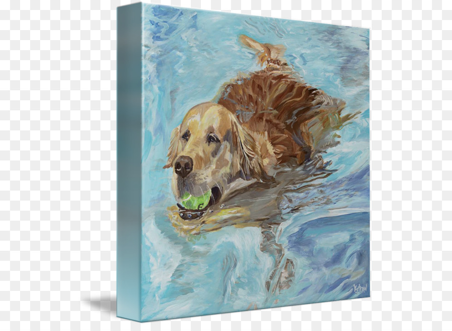 Golden Retriever-Labrador Retriever, Hund, Rasse, Welpen - Golden Retriever