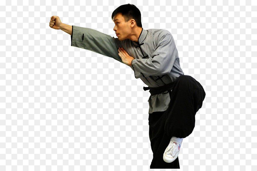 Stile der chinesischen Kampfkunst Xing Yi Quan, Yiquan - Boxen